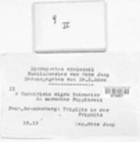 Image Associated With the Occurence